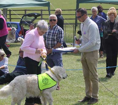 Rescue Rally & Late Spring Open Show