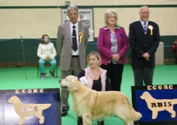 2012 Show Results