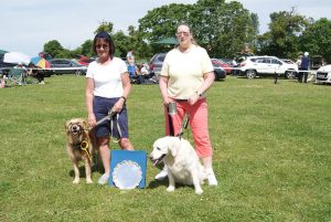 Fun Dog Show