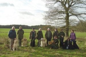 show gundog working certificate