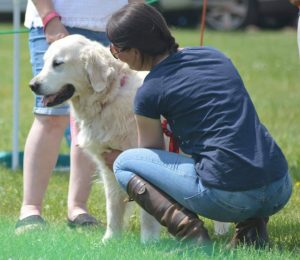 Funday, Rescue Rally & Open Show