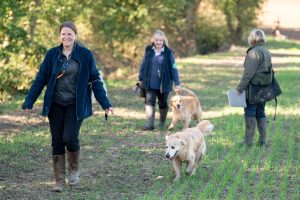 Show Gundog Working Certificate