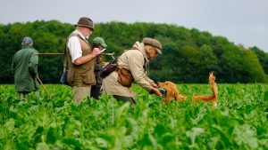 Sugarbeet Working Test (Open & Novice)