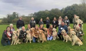 Novice Handlers Show Training Day