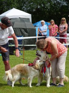 Open Show, Funday & Rescue Rally